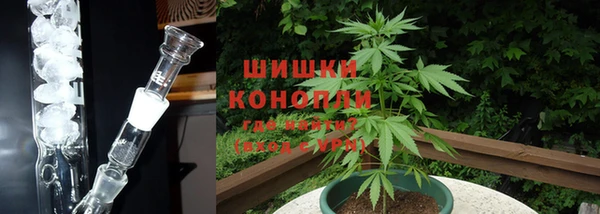 прущие грибы Алексеевка