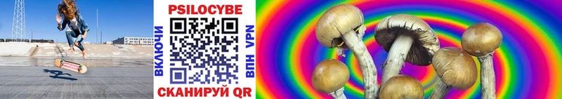закладки  Копейск  Псилоцибиновые грибы Cubensis 